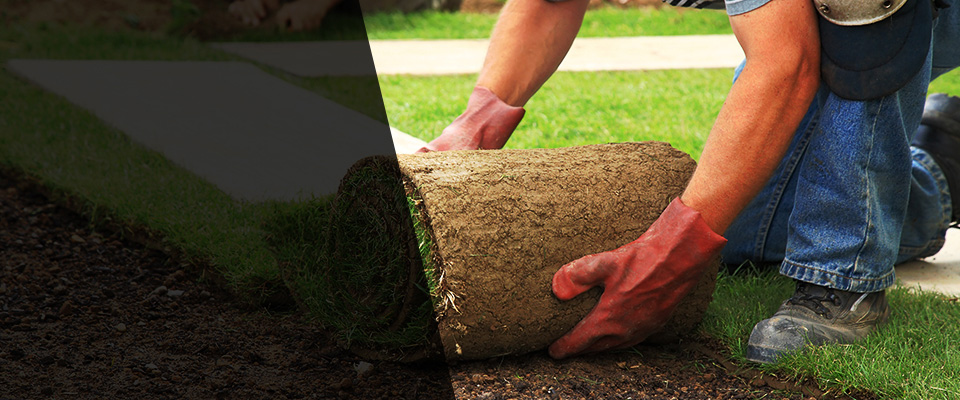 Lester Prairie Landscapers